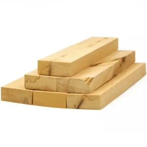 Brennholz Buche, Abschnitte 1 FM